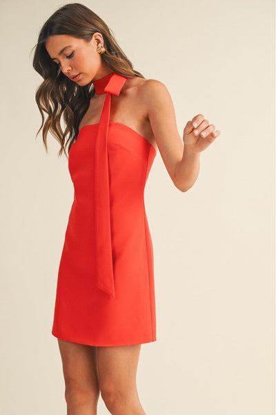 Scarlet Muse Mini Dress