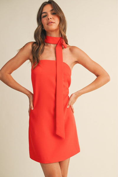 Scarlet Muse Mini Dress