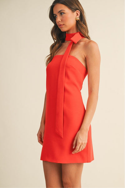 Scarlet Muse Mini Dress