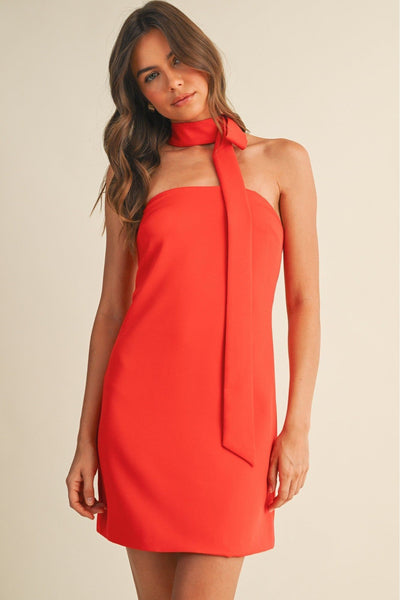 Scarlet Muse Mini Dress