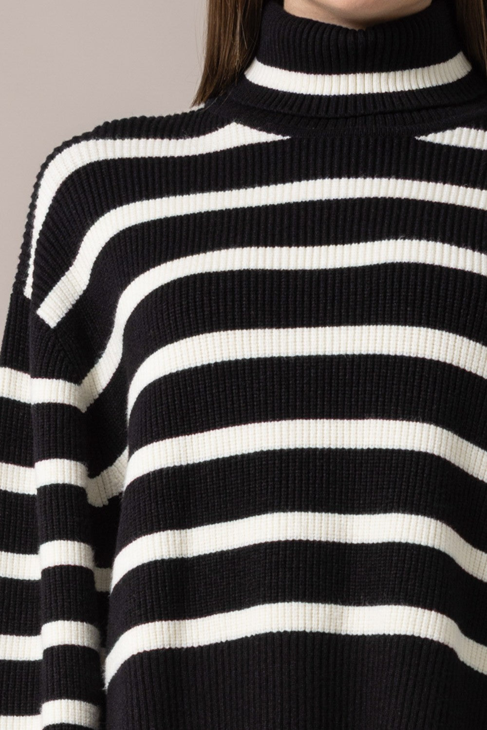 La Parisienne Knit Turtleneck