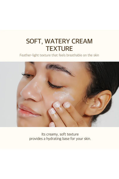 Bean Sunscreen SPF 50 [50ml]