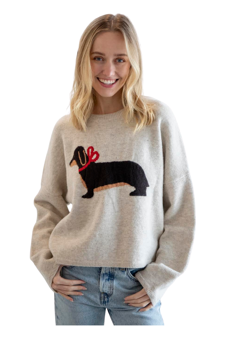 The Hot Doggie Sweater